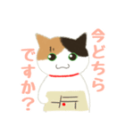 三毛猫みーにゃお仕事のご挨拶（敬語）（個別スタンプ：9）