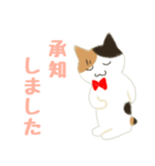 三毛猫みーにゃお仕事のご挨拶（敬語）（個別スタンプ：13）