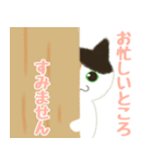 三毛猫みーにゃお仕事のご挨拶（敬語）（個別スタンプ：18）