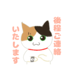 三毛猫みーにゃお仕事のご挨拶（敬語）（個別スタンプ：20）