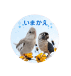 michochii 3（個別スタンプ：7）