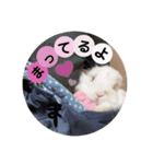 michochii 3（個別スタンプ：12）