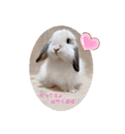 michochii 3（個別スタンプ：13）
