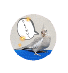 michochii 3（個別スタンプ：15）