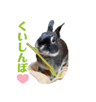 michochii 3（個別スタンプ：22）