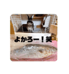 michochii 3（個別スタンプ：23）