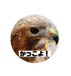 michochii 3（個別スタンプ：24）