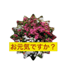 大きめ文字で丁寧にごあいさつ（個別スタンプ：2）