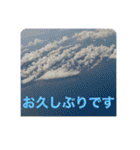 大きめ文字で丁寧にごあいさつ（個別スタンプ：3）