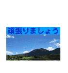 大きめ文字で丁寧にごあいさつ（個別スタンプ：11）