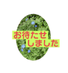 大きめ文字で丁寧にごあいさつ（個別スタンプ：17）