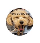 マロンの敬語と英語（個別スタンプ：19）