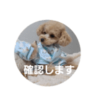 マロンの敬語と英語（個別スタンプ：23）