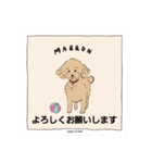 マロンの敬語と英語（個別スタンプ：28）