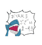 ゆるいサメのスタンプ（個別スタンプ：17）