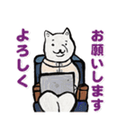 柴犬クリエイター（よく使う言葉）（個別スタンプ：1）