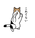 猫と牛ごりら（個別スタンプ：18）