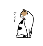 猫と牛ごりら（個別スタンプ：23）