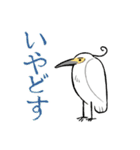 ゆるふわ野鳥スタンプ（個別スタンプ：8）