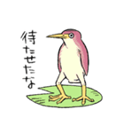 ゆるふわ野鳥スタンプ（個別スタンプ：30）