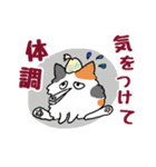 毎日モフねこ5（個別スタンプ：8）