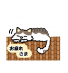 毎日モフねこ5（個別スタンプ：15）