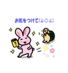 亀からウサギコーチへのLINEスタンプ（個別スタンプ：13）