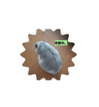 ころころコロ太郎。2（個別スタンプ：4）