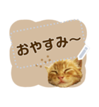 ぐうかわ♥生後3週間の茶トラ子猫写真（個別スタンプ：3）