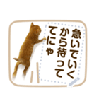 ぐうかわ♥生後3週間の茶トラ子猫写真（個別スタンプ：8）