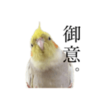 うちのカワイイちびっこたちPart 12（個別スタンプ：1）