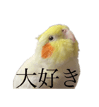 うちのカワイイちびっこたちPart 12（個別スタンプ：2）
