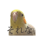 うちのカワイイちびっこたちPart 12（個別スタンプ：3）