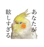 うちのカワイイちびっこたちPart 12（個別スタンプ：4）