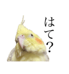 うちのカワイイちびっこたちPart 12（個別スタンプ：7）
