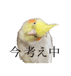 うちのカワイイちびっこたちPart 12（個別スタンプ：8）