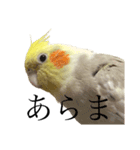 うちのカワイイちびっこたちPart 12（個別スタンプ：9）