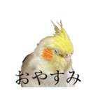 うちのカワイイちびっこたちPart 12（個別スタンプ：10）