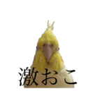 うちのカワイイちびっこたちPart 12（個別スタンプ：11）