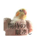 うちのカワイイちびっこたちPart 12（個別スタンプ：14）