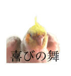 うちのカワイイちびっこたちPart 12（個別スタンプ：16）