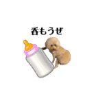 A家で溺愛するわんことうさぎ（個別スタンプ：2）
