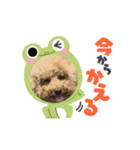 A家で溺愛するわんことうさぎ（個別スタンプ：22）