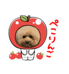 A家で溺愛するわんことうさぎ（個別スタンプ：27）