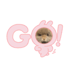 A家で溺愛するわんことうさぎ（個別スタンプ：28）