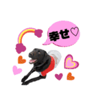 黒ワニ うね のスタンプ（個別スタンプ：20）