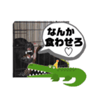 黒ワニ うね のスタンプ（個別スタンプ：21）
