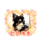 ワンダフルな毎日3（個別スタンプ：2）