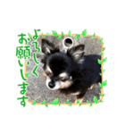 ワンダフルな毎日3（個別スタンプ：4）
