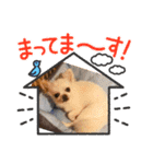 ワンダフルな毎日3（個別スタンプ：7）